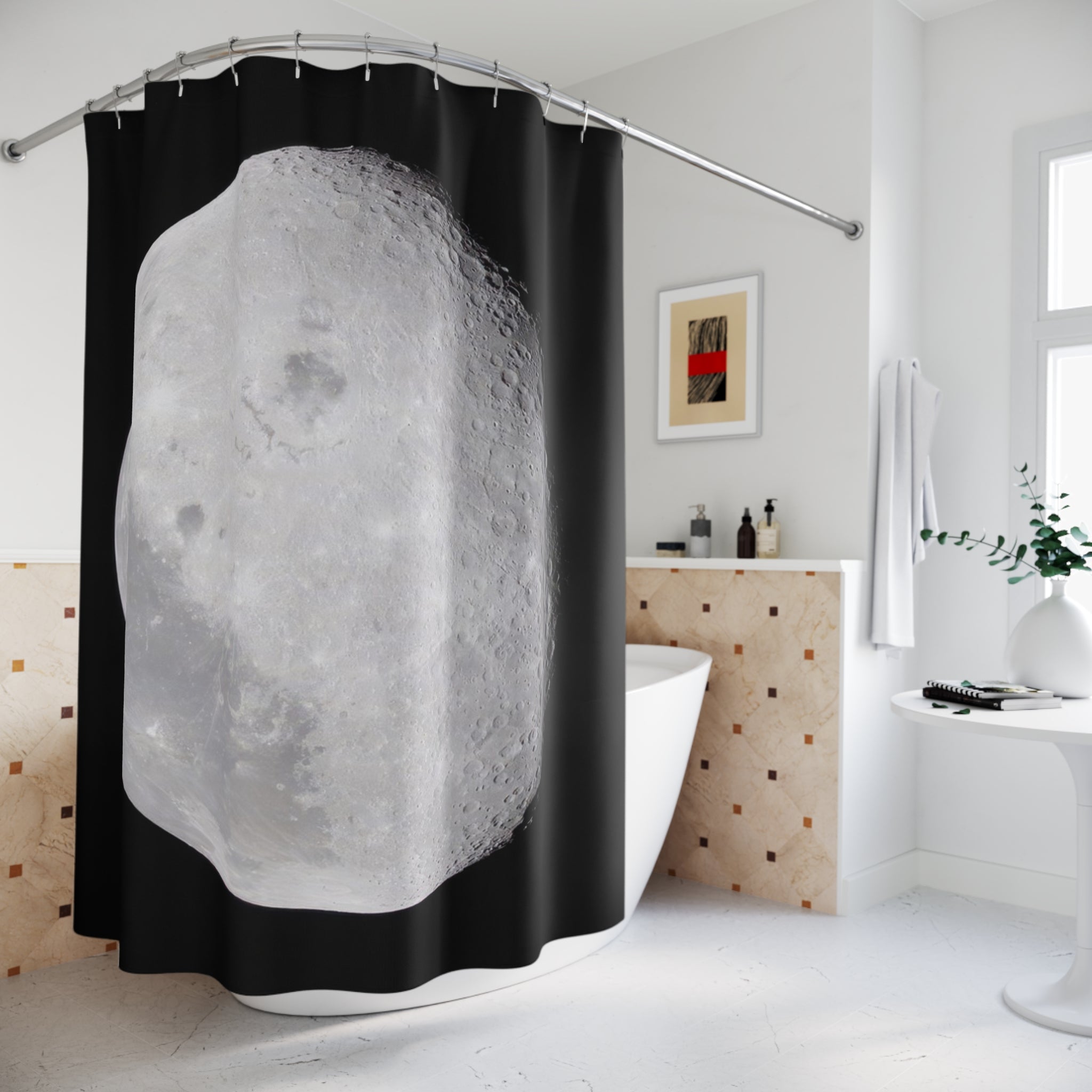 Far Side of the Moon Shower Curtain: Lunar Photo