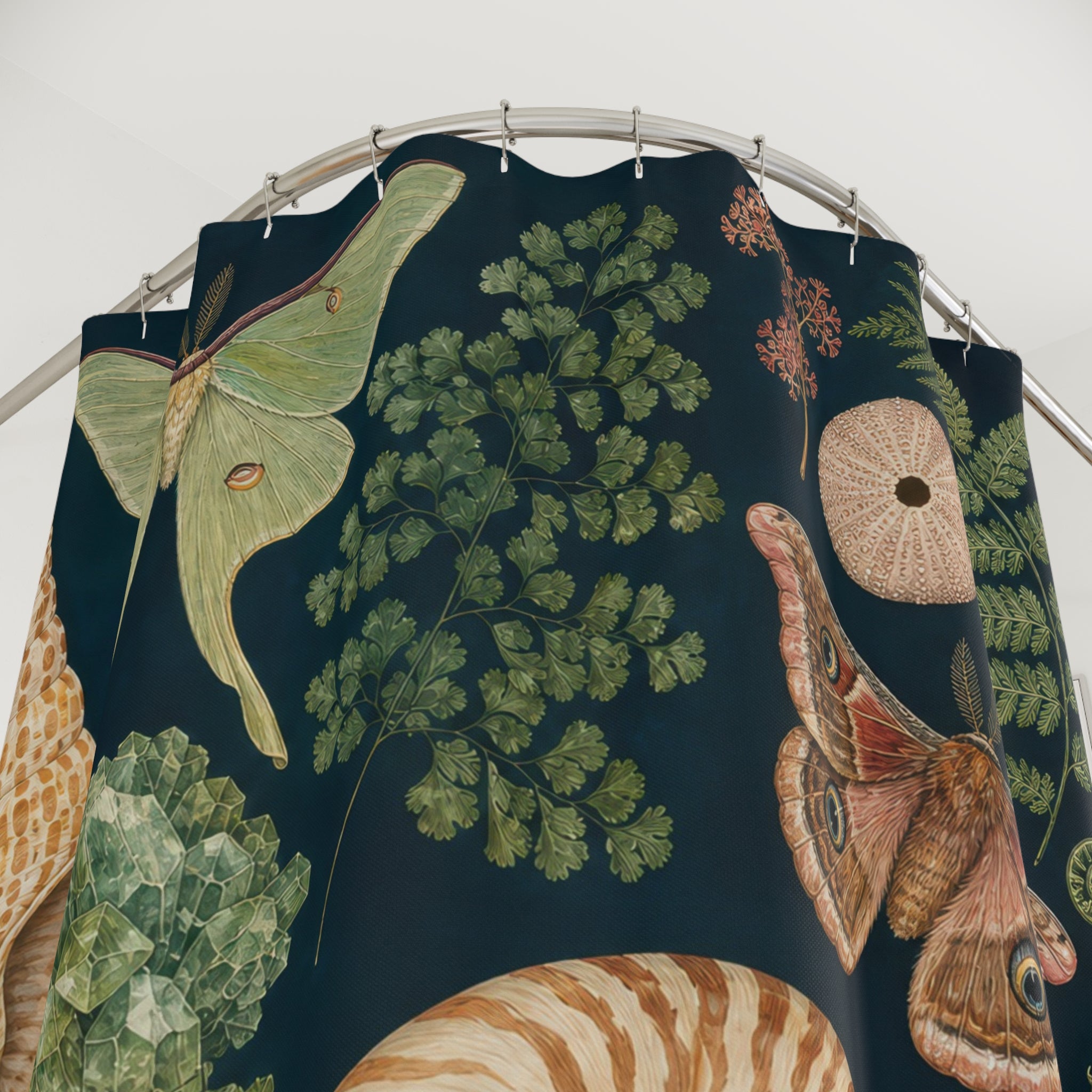 Natural History Curiosity Cabinet Shower Curtain