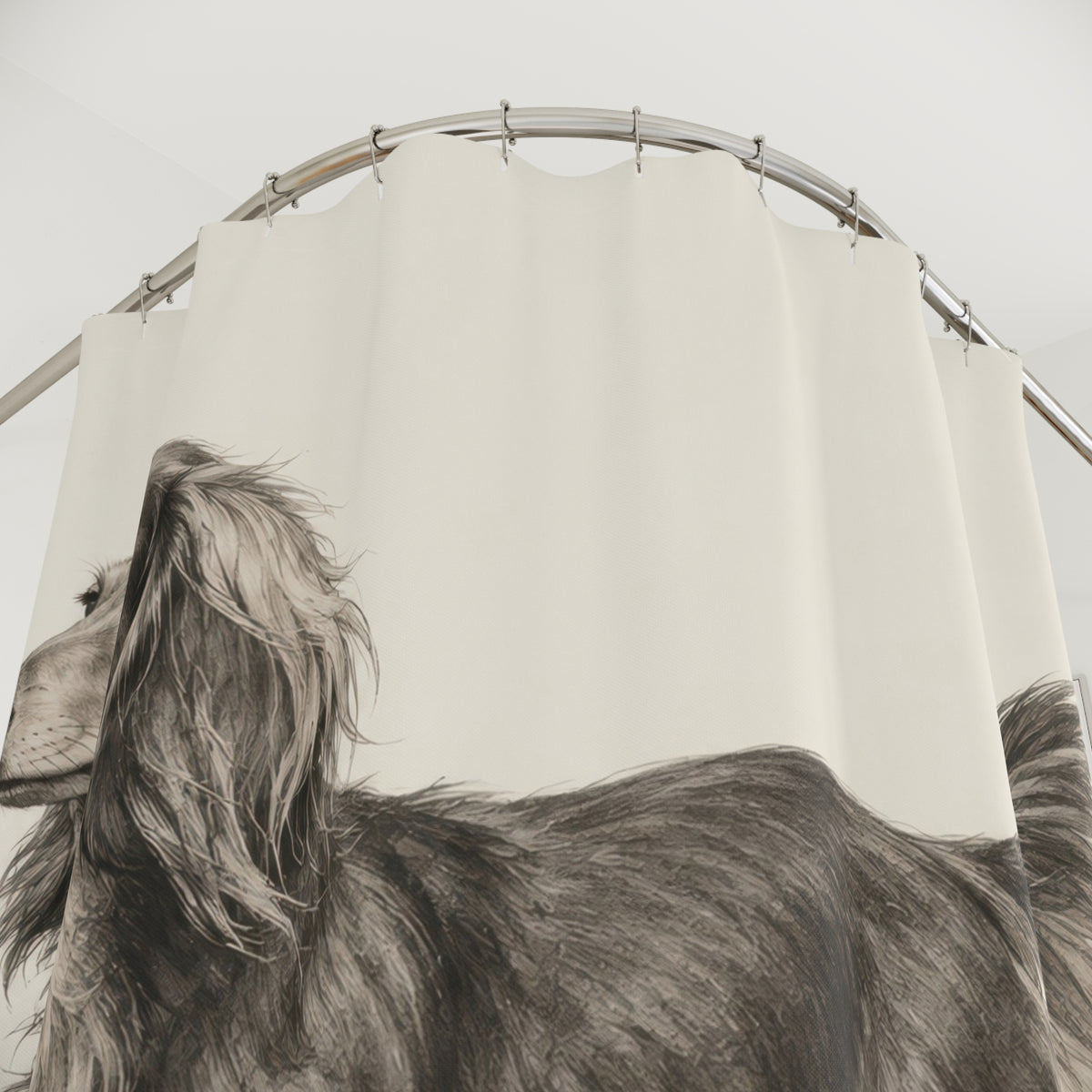 Charcoal long haired dachshund study shower curtain with close-up print, hooks, and folds