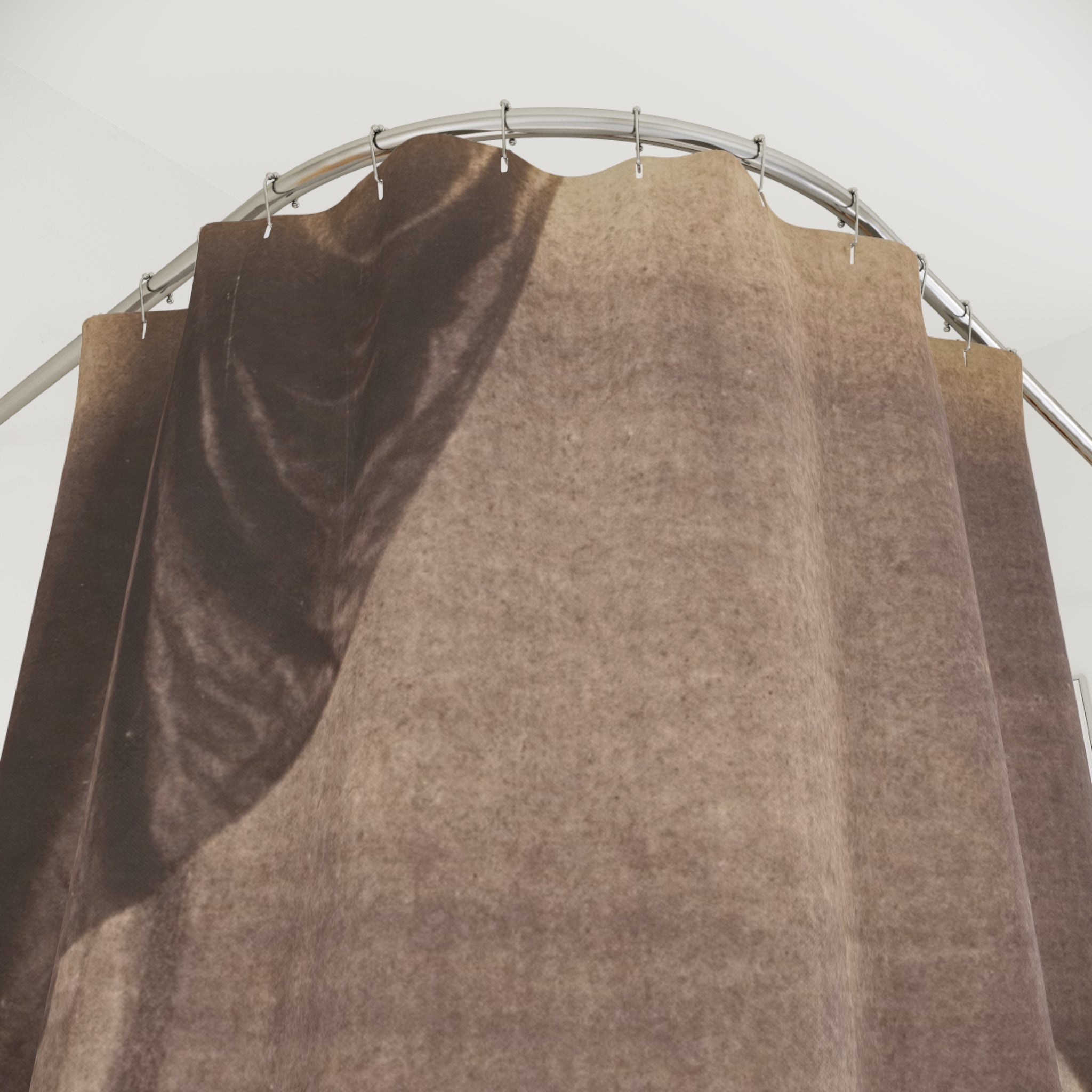 Classical Nude Art Shower Curtain – Sepia Brown