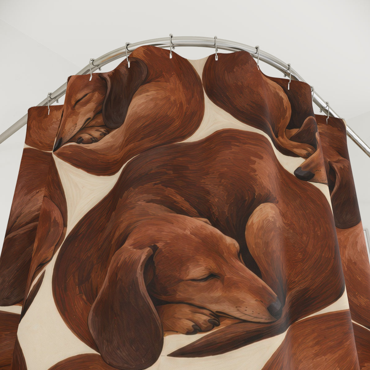 Curled chestnut sleeping dachshund shower curtain with close-up print, hooks, and folds