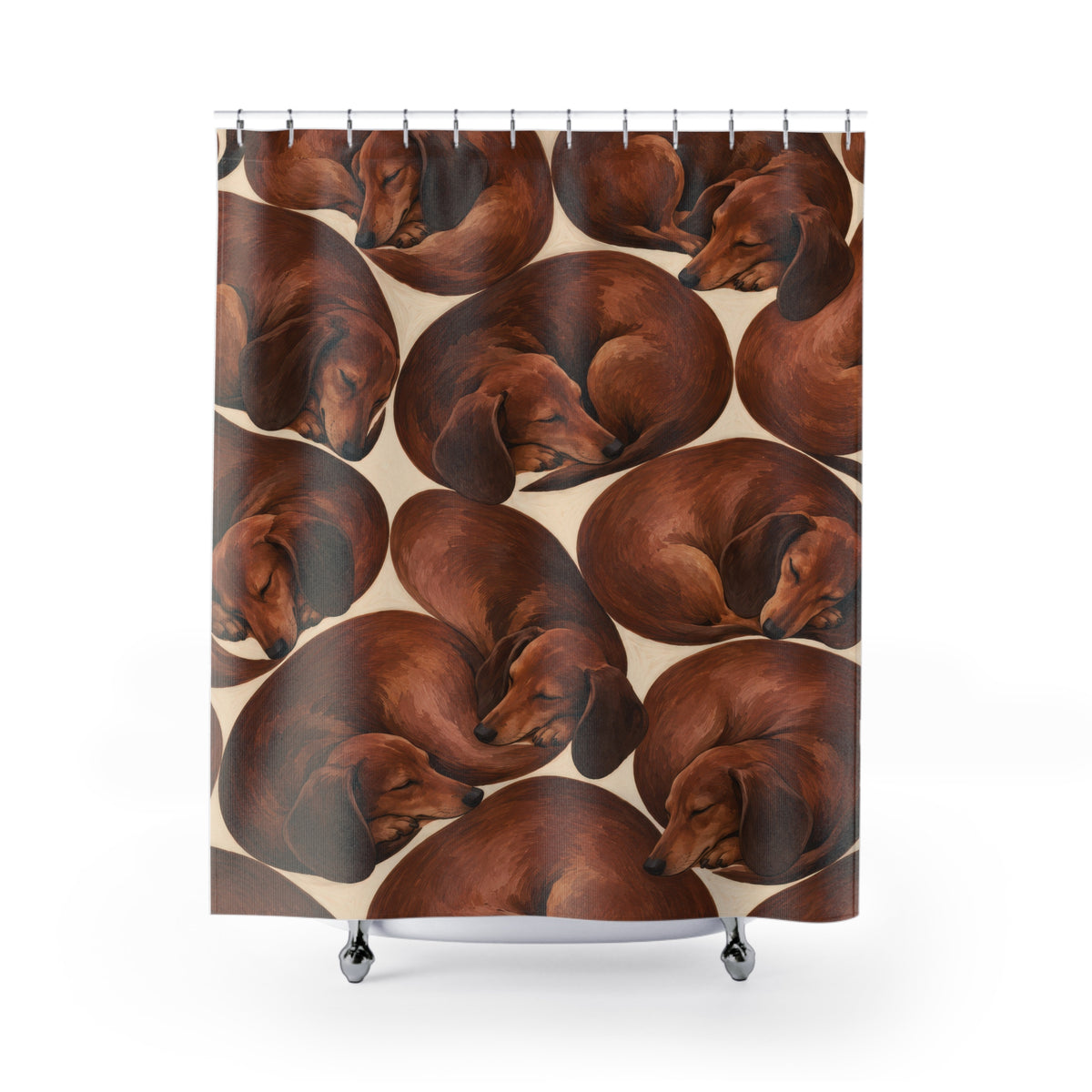 Curled chestnut sleeping dachshund shower curtain with full front view