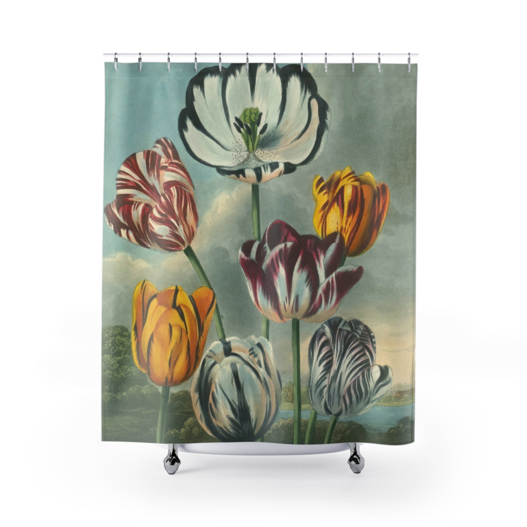Vintage Tulip Shower Curtain: Botanical Art