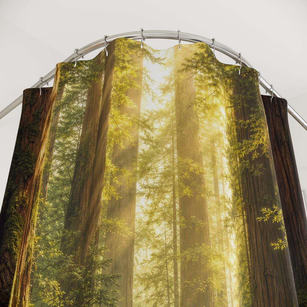 Redwood Sunbeam Forest Shower Curtain